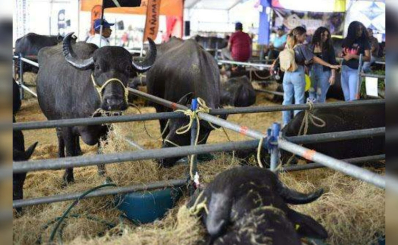 expoferia-nacional-bufalina-2026-60917