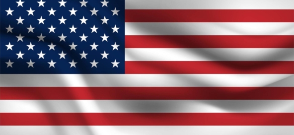 united-states-of-america-flag-vector