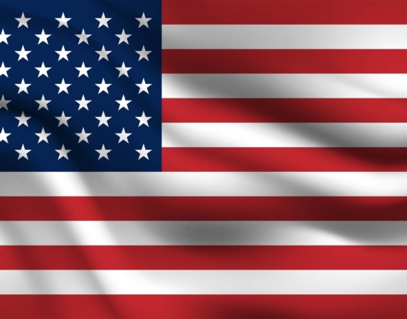 united-states-of-america-flag-vector